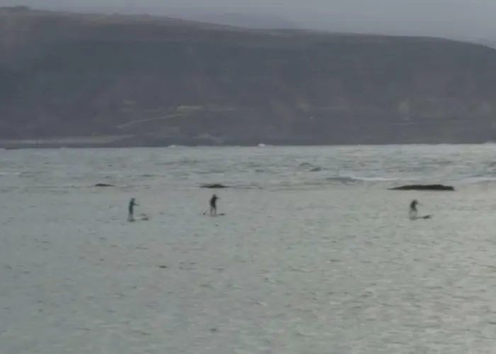 Apartamento A 2 Min De Playa De Las Canteras 公寓